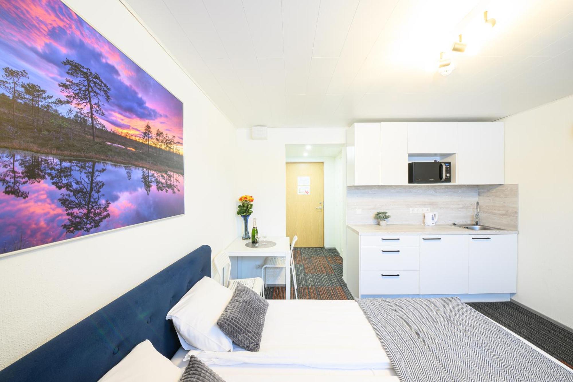 Stay To Stay Apartments - Votmeta Sissepaeaes تارتو الغرفة الصورة